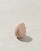 Precision Makeup Sponge 100